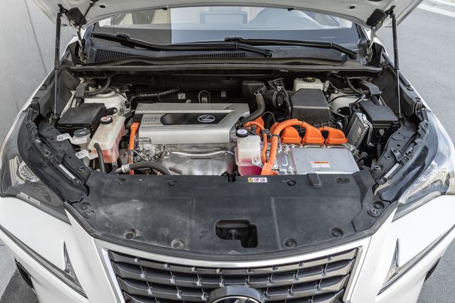 2019 Lexus NX 300h Luxury photo 14