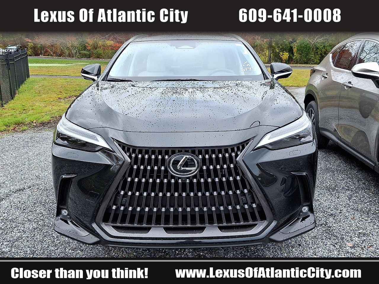 2026 Lexus NX Luxury photo 2