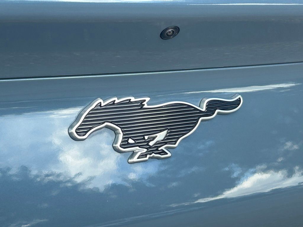 2023 Ford Mustang Mach-E Premium photo 22