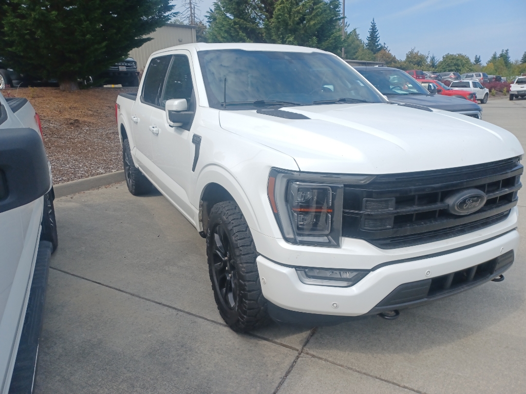 2022 Ford F-150 Platinum photo 3