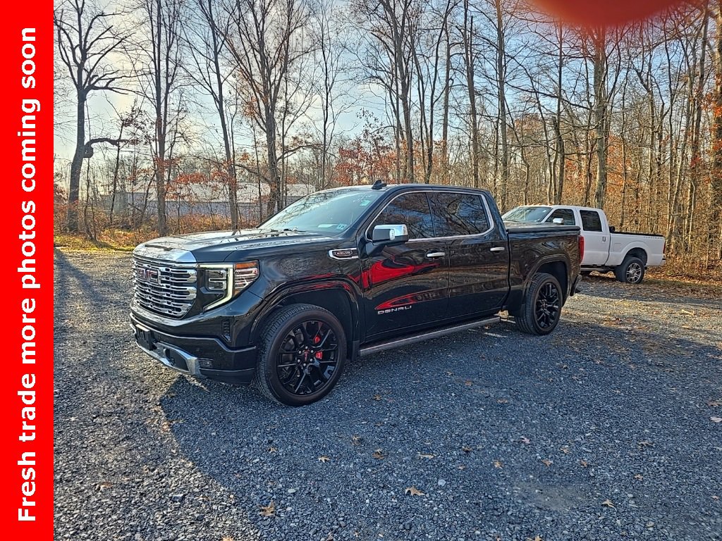 2024 Gmc Sierra 1500 Denali photo 4
