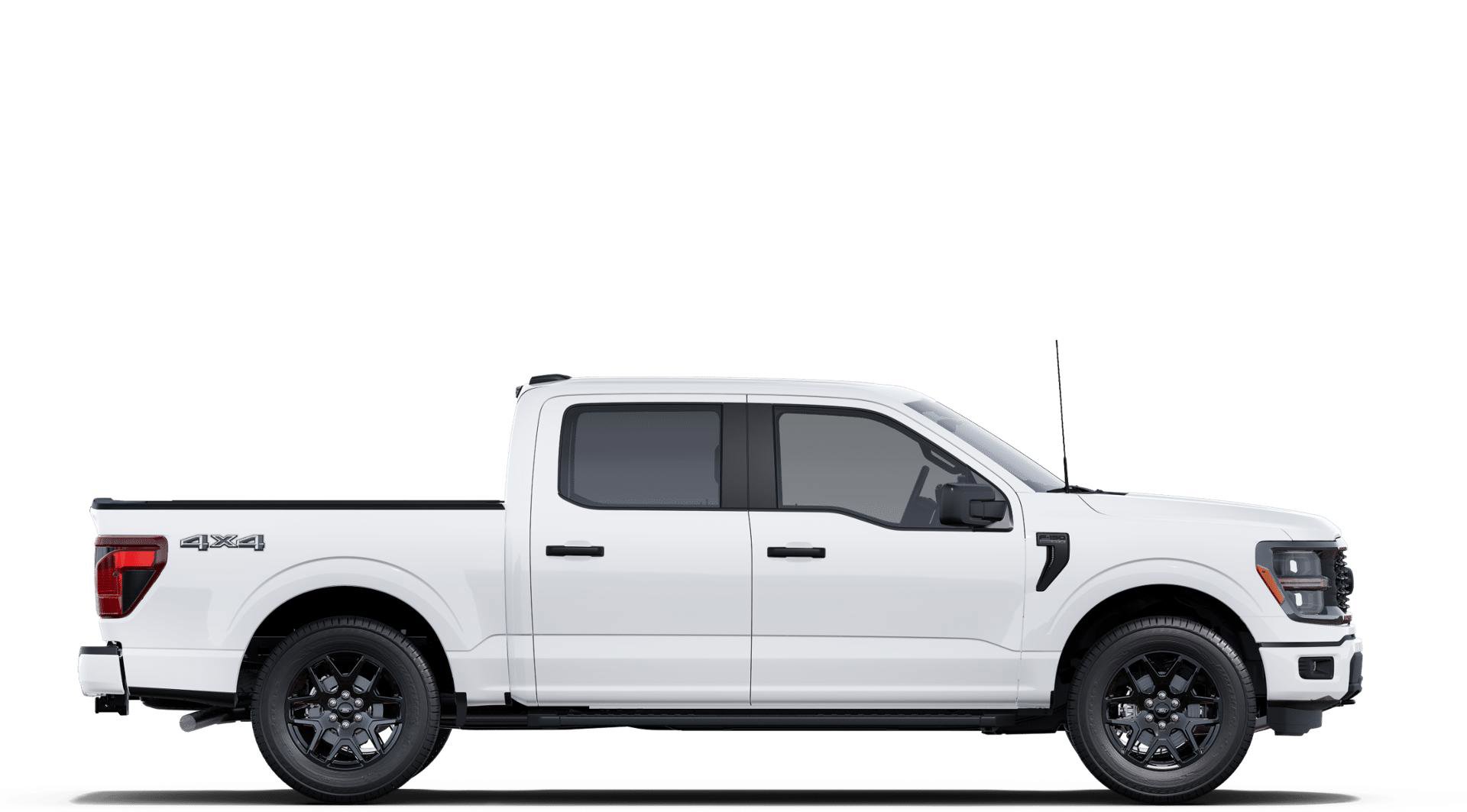 2025 Ford F-150 STX photo 5