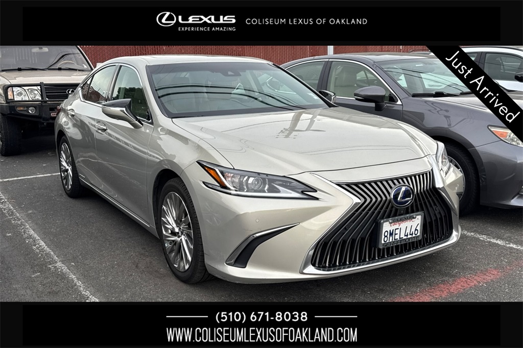 2019 Lexus ES Hybrid 300h Luxury's photo