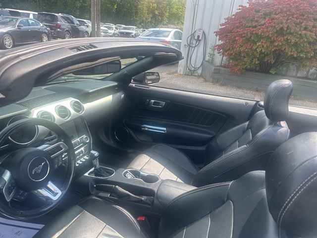 2020 Ford Mustang EcoBoost Premium photo 14