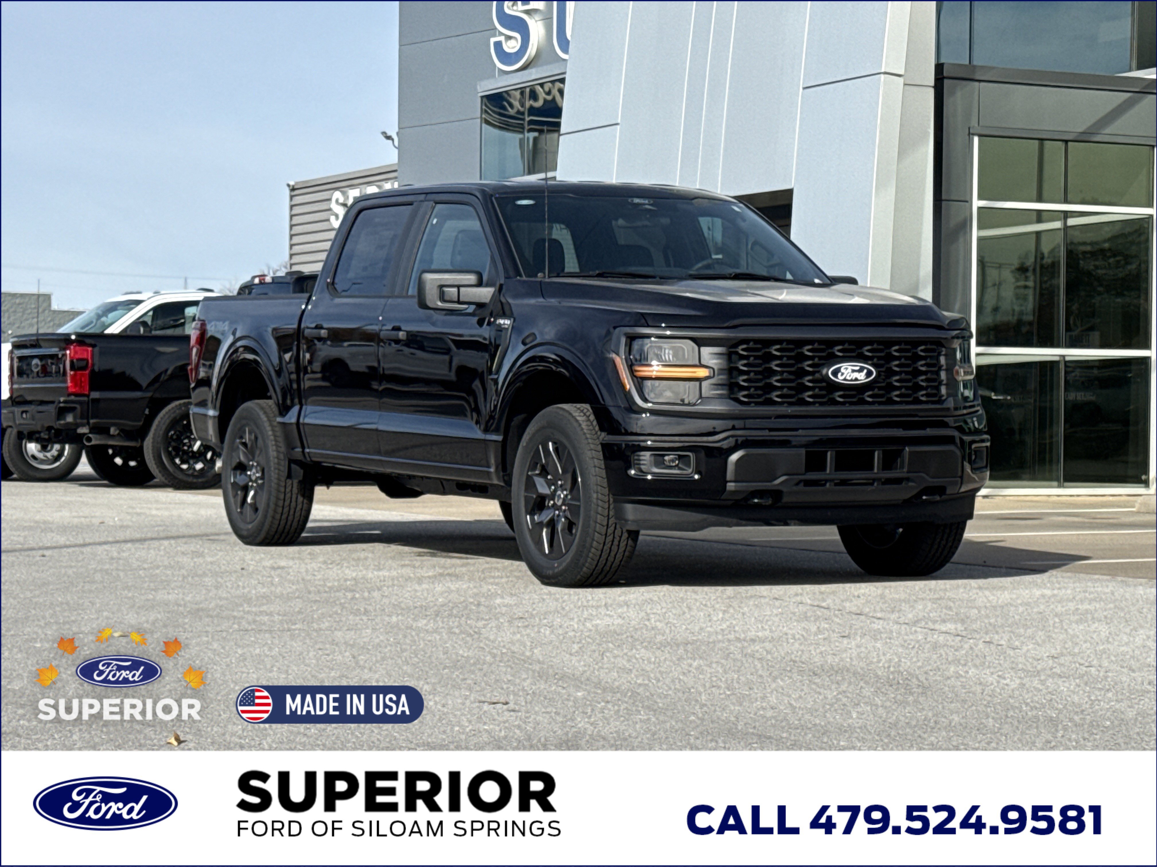 2025 Ford F-150 STX's photo