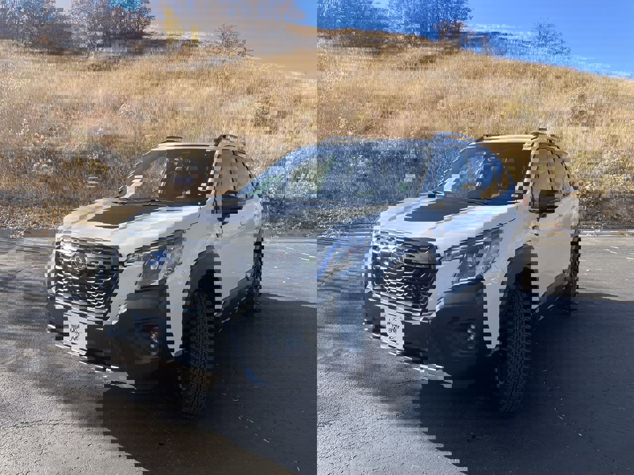 2022 Subaru Forester Wilderness photo 3