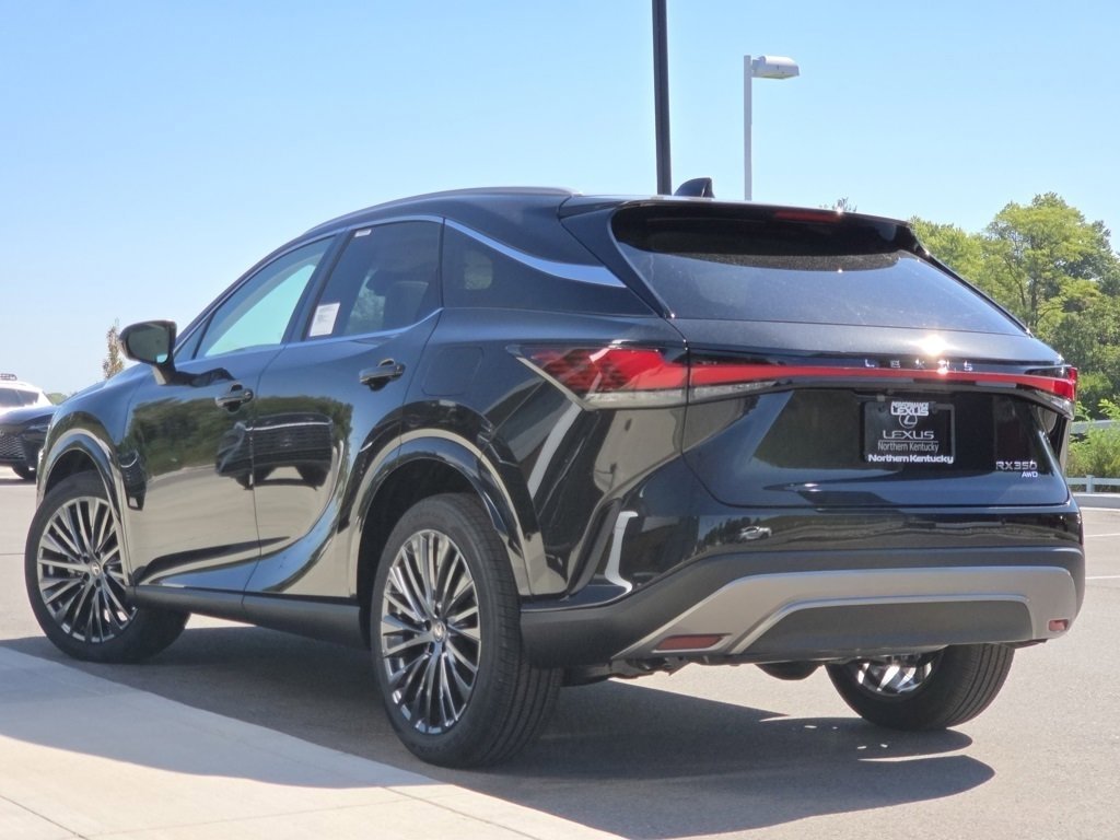 2025 Lexus RX 350 Luxury photo 20