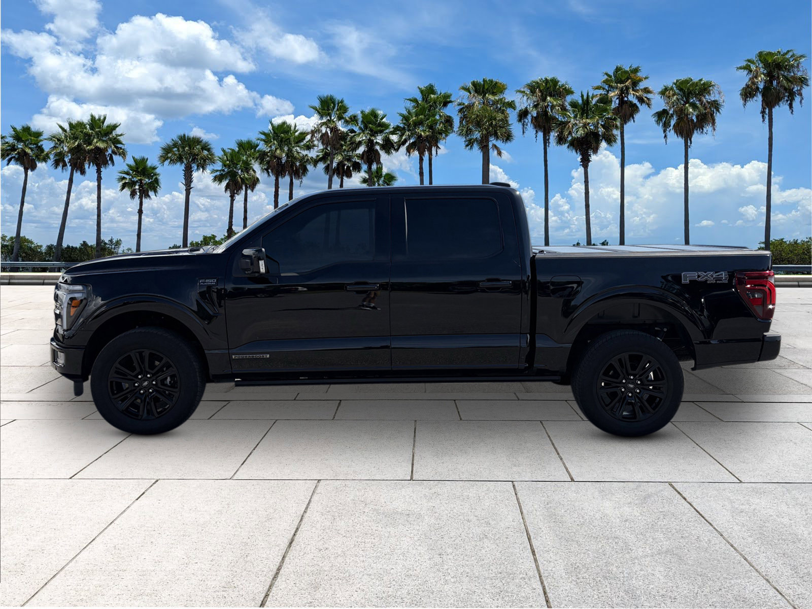 2025 Ford F-150 Platinum photo 4