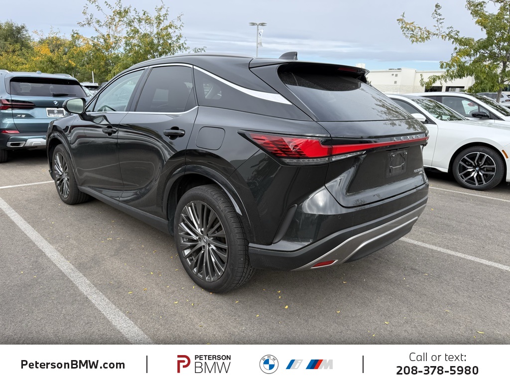 2023 Lexus RX 350h Premium photo 4