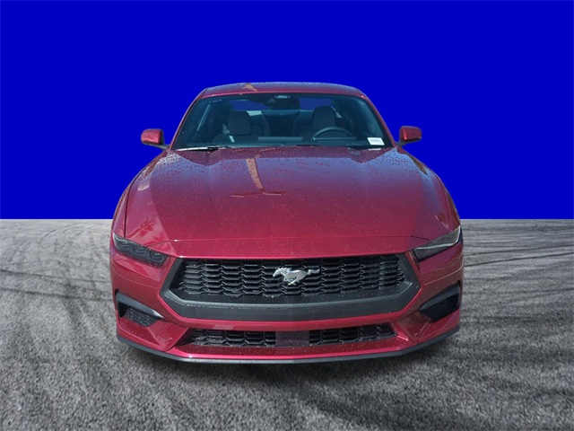 2025 Ford Mustang EcoBoost photo 9