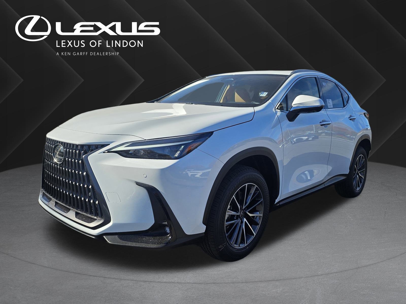 2026 Lexus NX PHEV 450h+'s photo