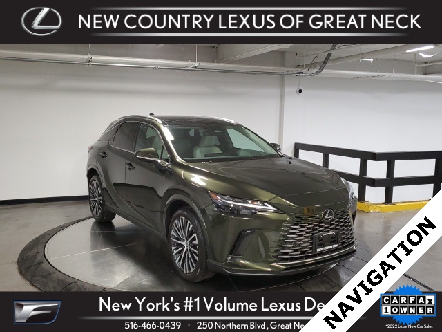 2025 Lexus RX Hybrid 350h's photo