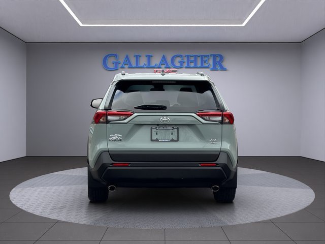 2019 Toyota RAV4 XLE photo 4
