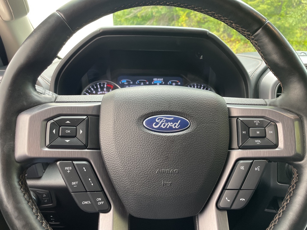 2020 Ford Expedition Platinum photo 10