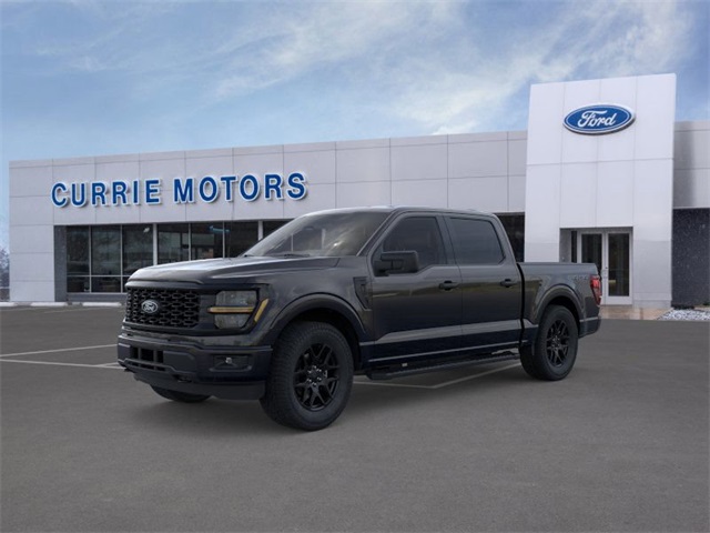 2025 Ford F-150 STX's photo
