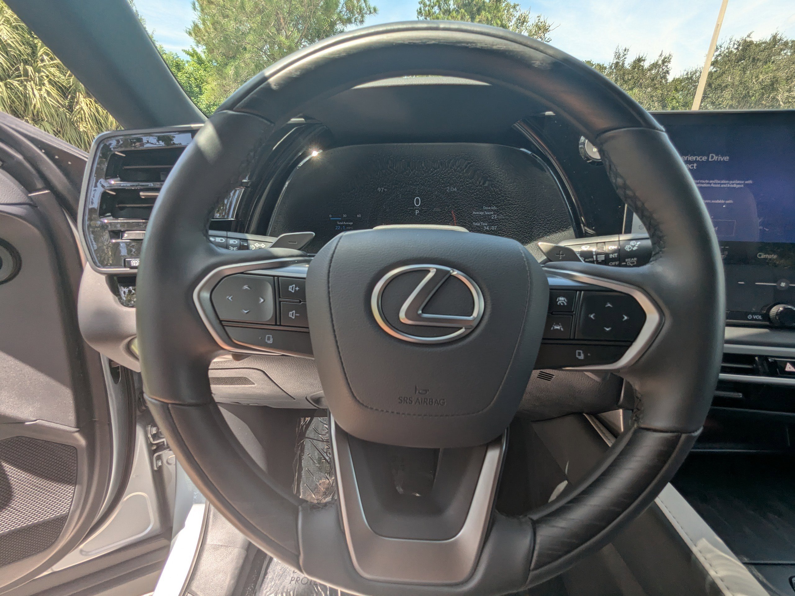 2025 Lexus RX 350 photo 35