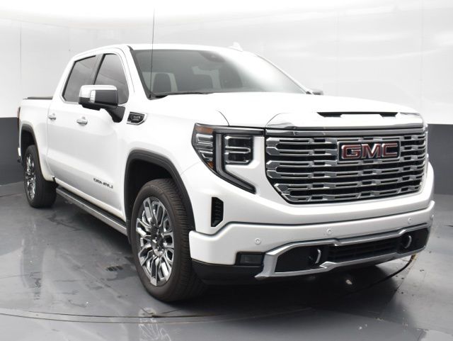 2022 Gmc Sierra 1500 Denali photo 3