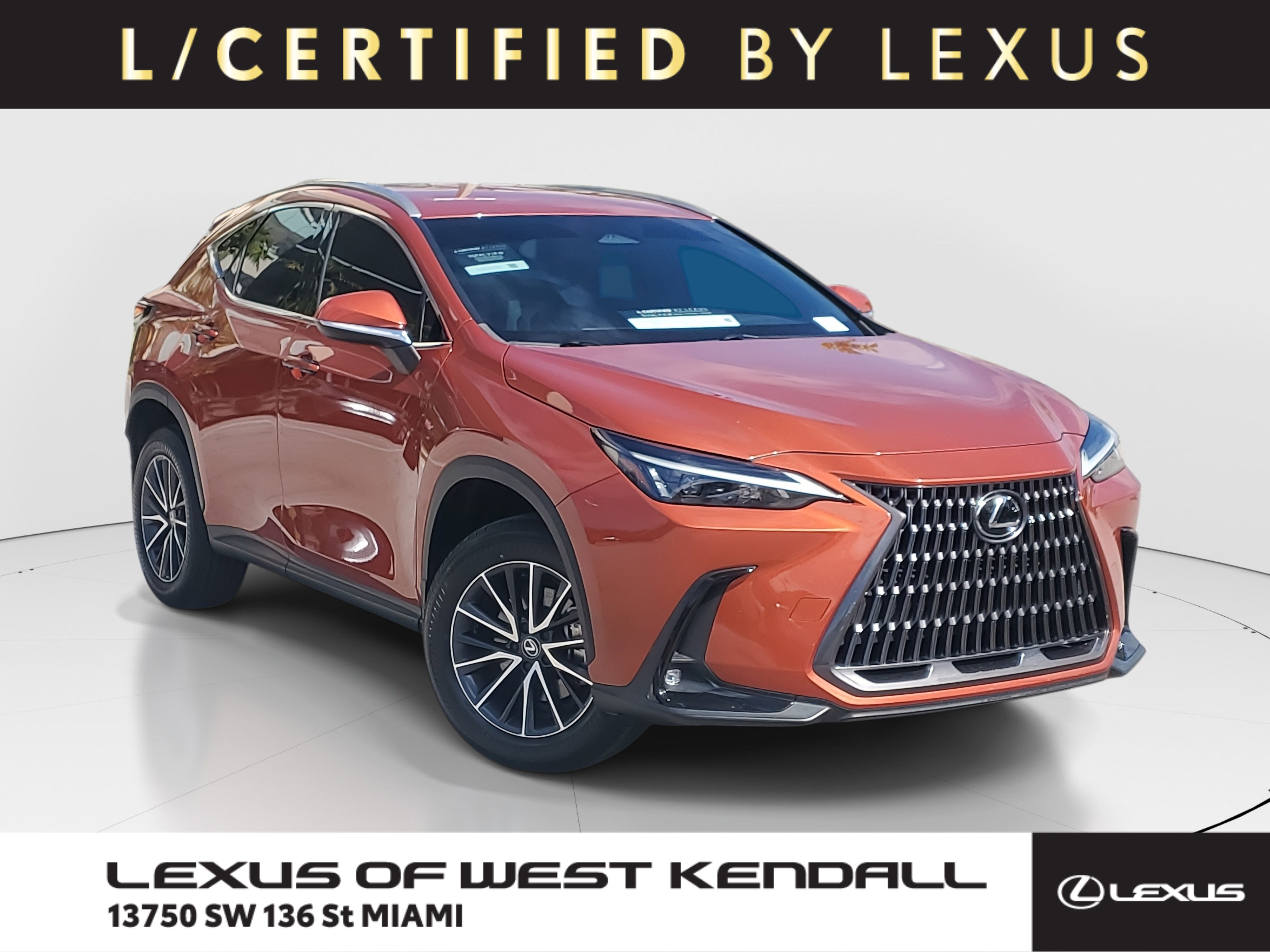 2024 Lexus NX 250's photo