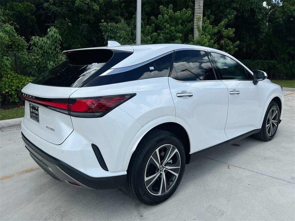2024 Lexus RX 350 photo 6