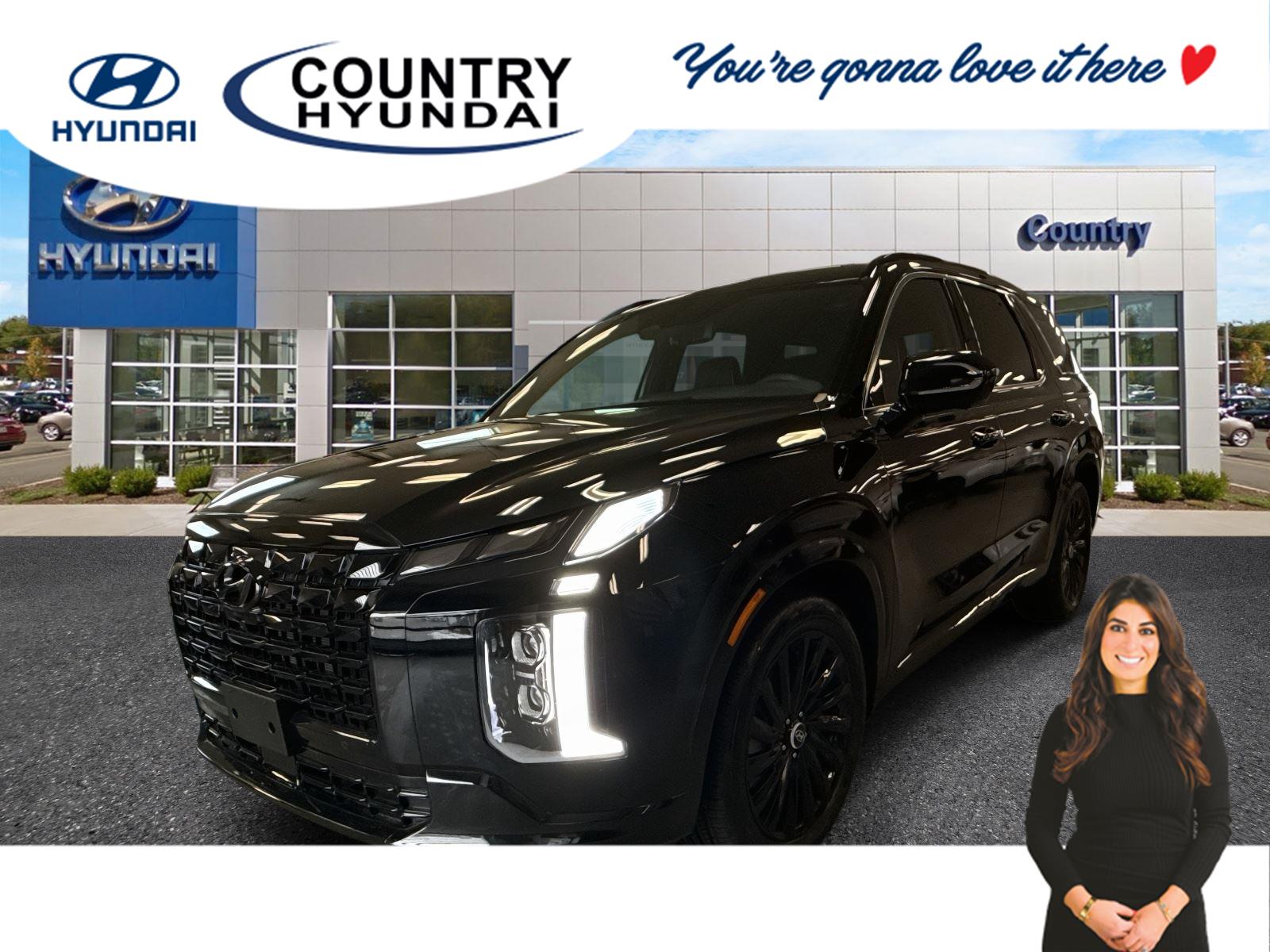 2025 Hyundai Palisade Calligraphy Night Edition's photo