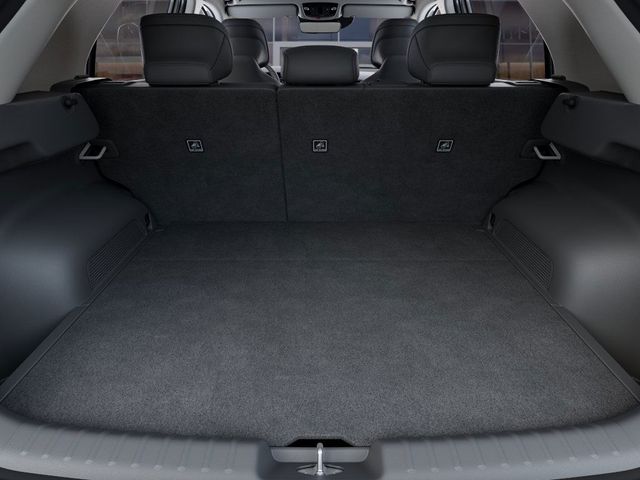 2025 Kia Niro EV Wave photo 19