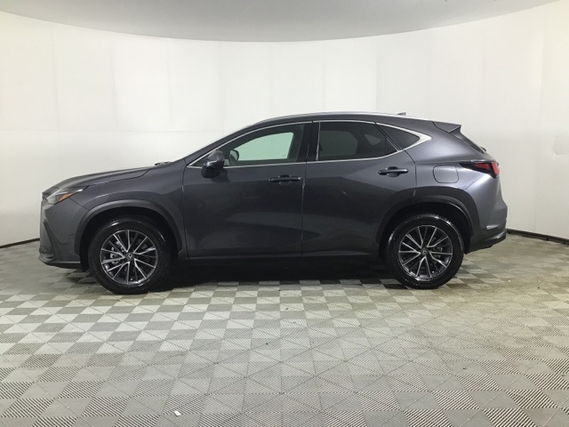 2025 Lexus NX 350 Premium photo 4