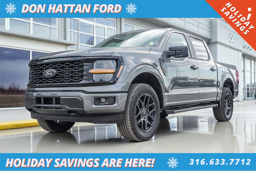 2025 Ford F-150 STX's photo