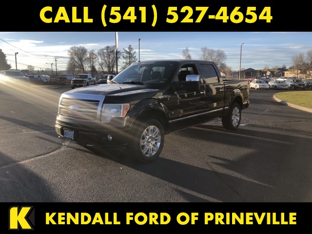2009 Ford F-150 Platinum