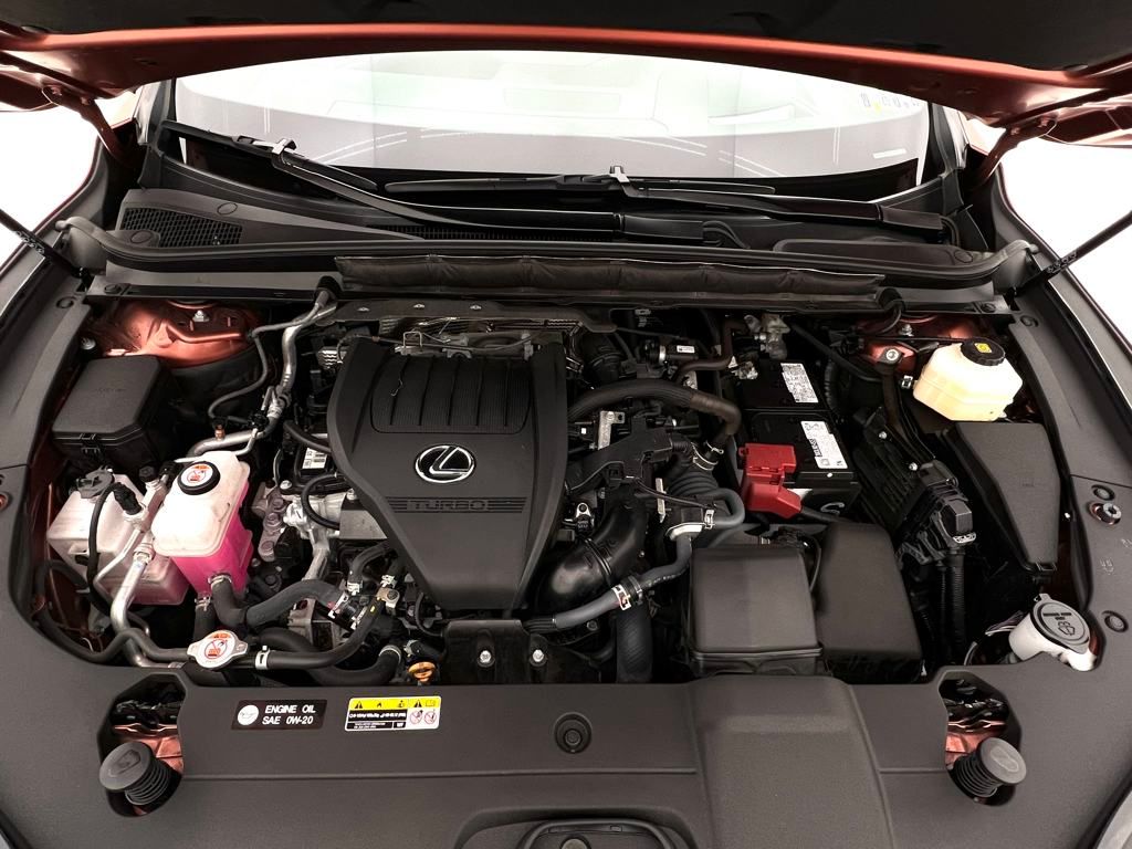 2024 Lexus RX 350 Premium photo 28