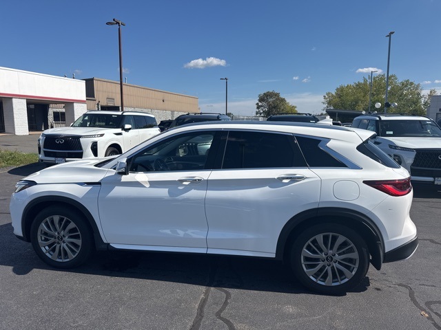 2023 Infiniti QX50 Luxe photo 4