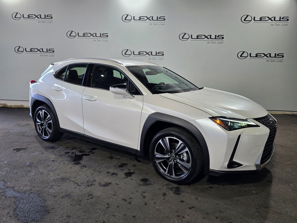 2025 Lexus UX photo 3