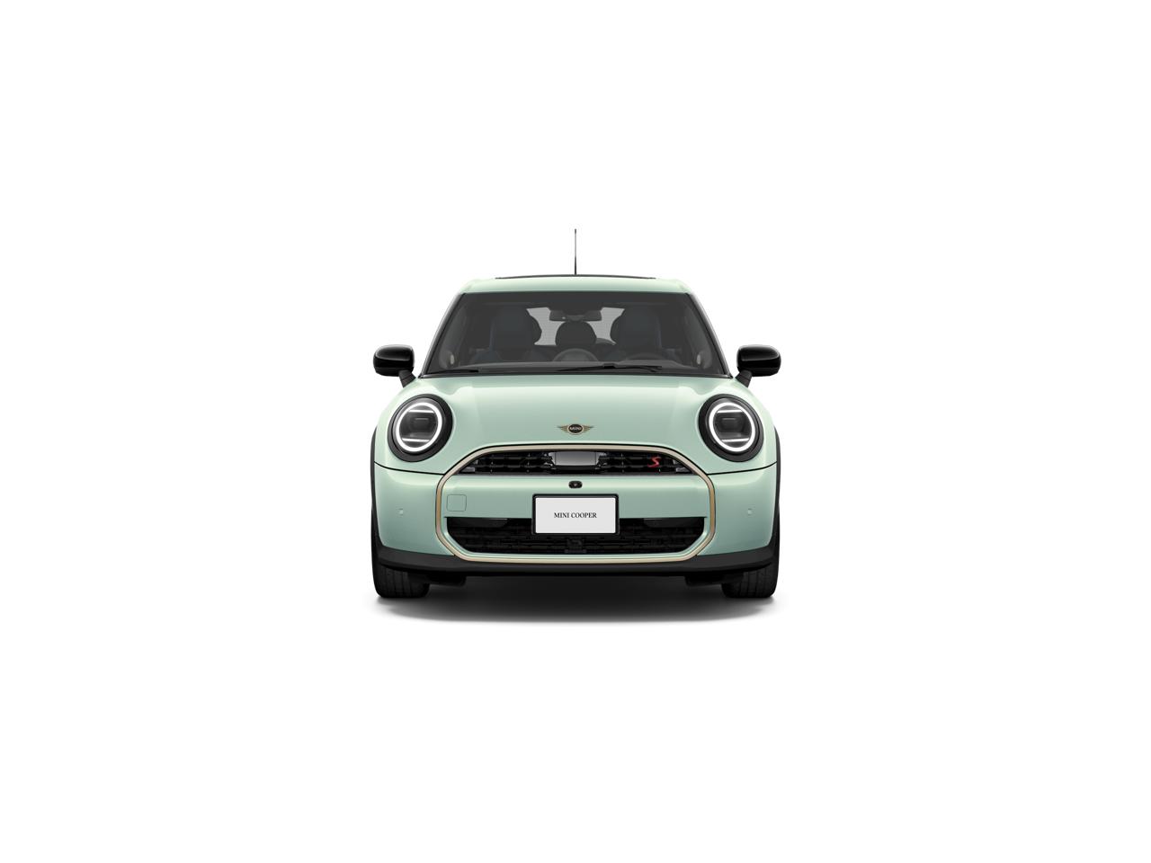 New 2025 Ocean Wave Green MINI ICONIC image 2