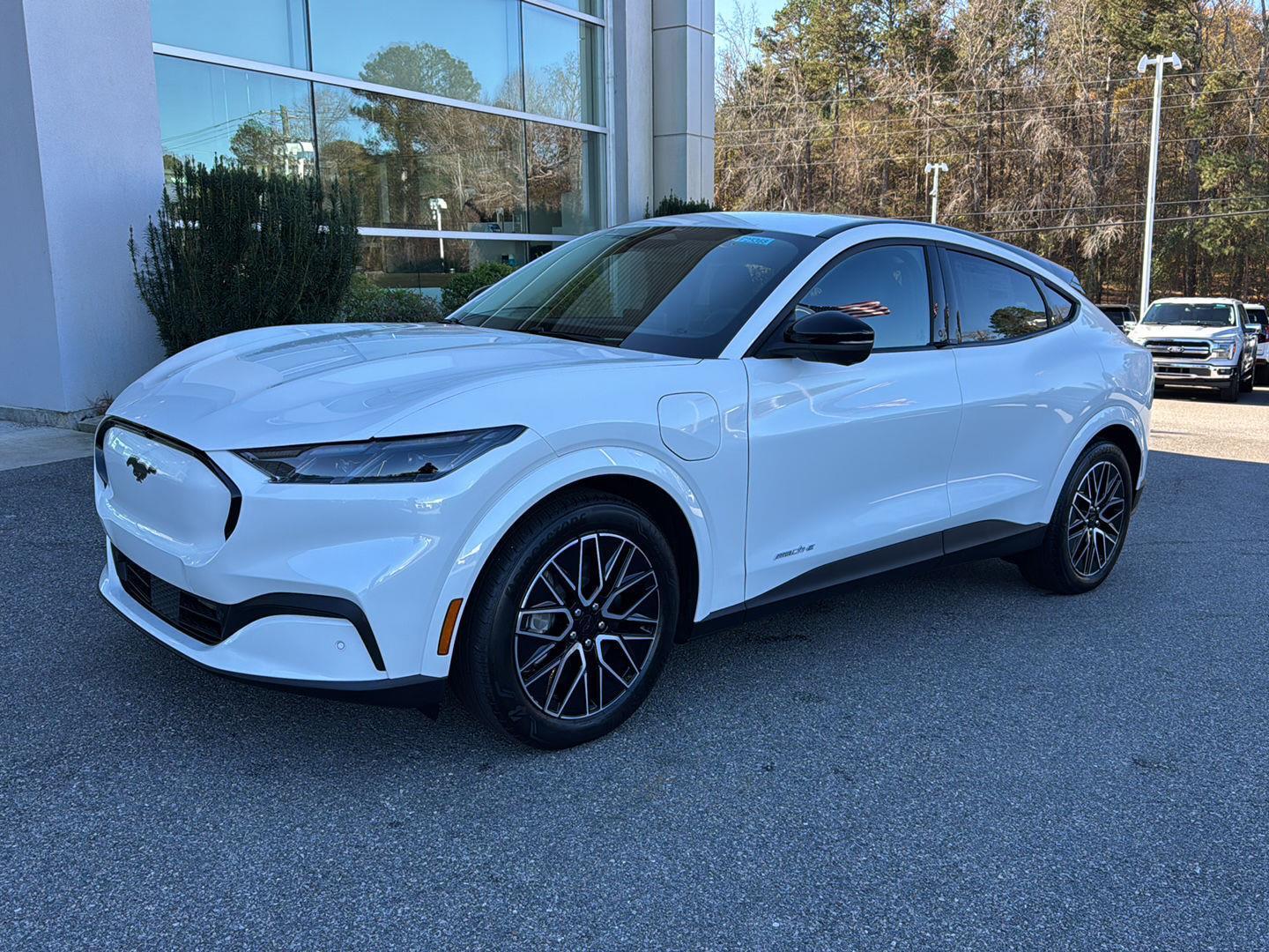 2025 Ford Mustang Mach-E Premium RWD's photo