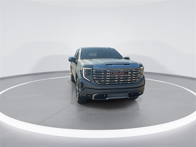 2025 Gmc Sierra 1500 Denali photo 3