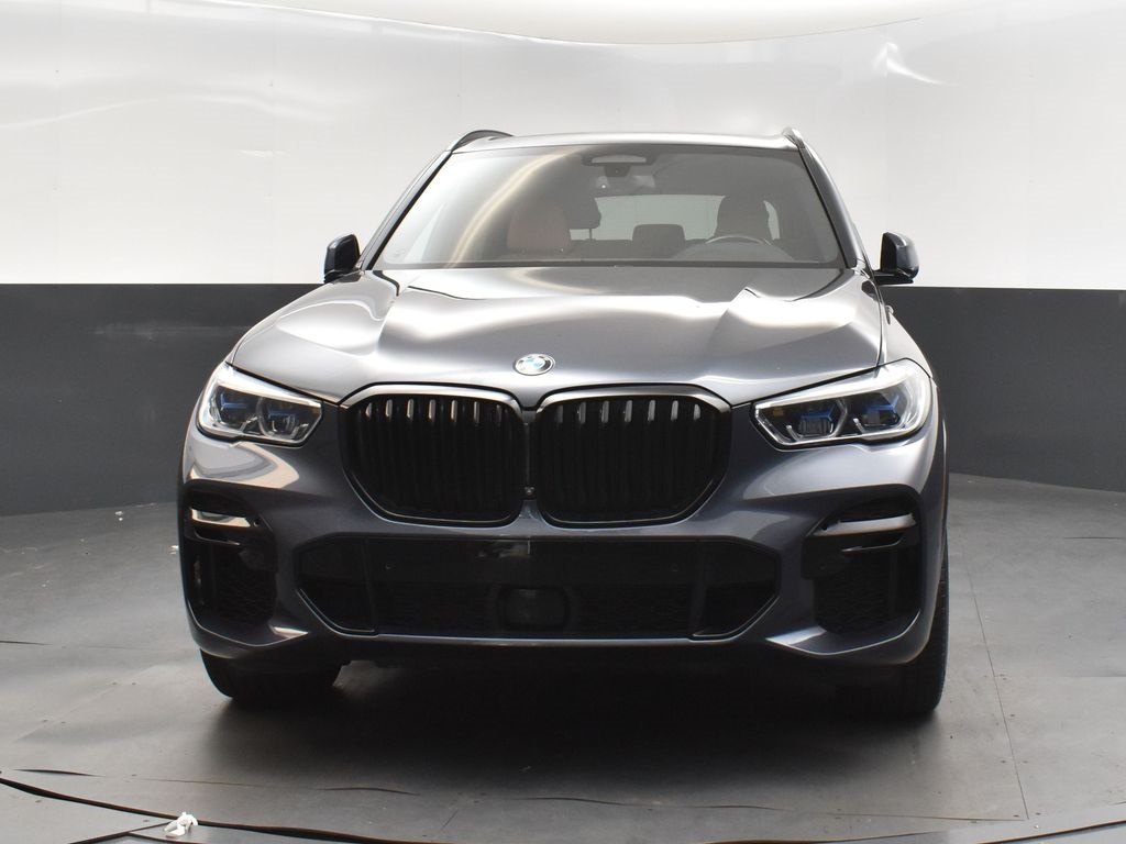 2022 Bmw X5 xDrive40i photo 10