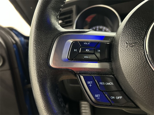 2020 Ford Mustang EcoBoost photo 10