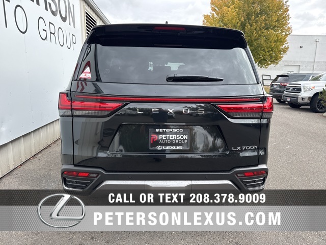 2025 Lexus LX Luxury photo 3