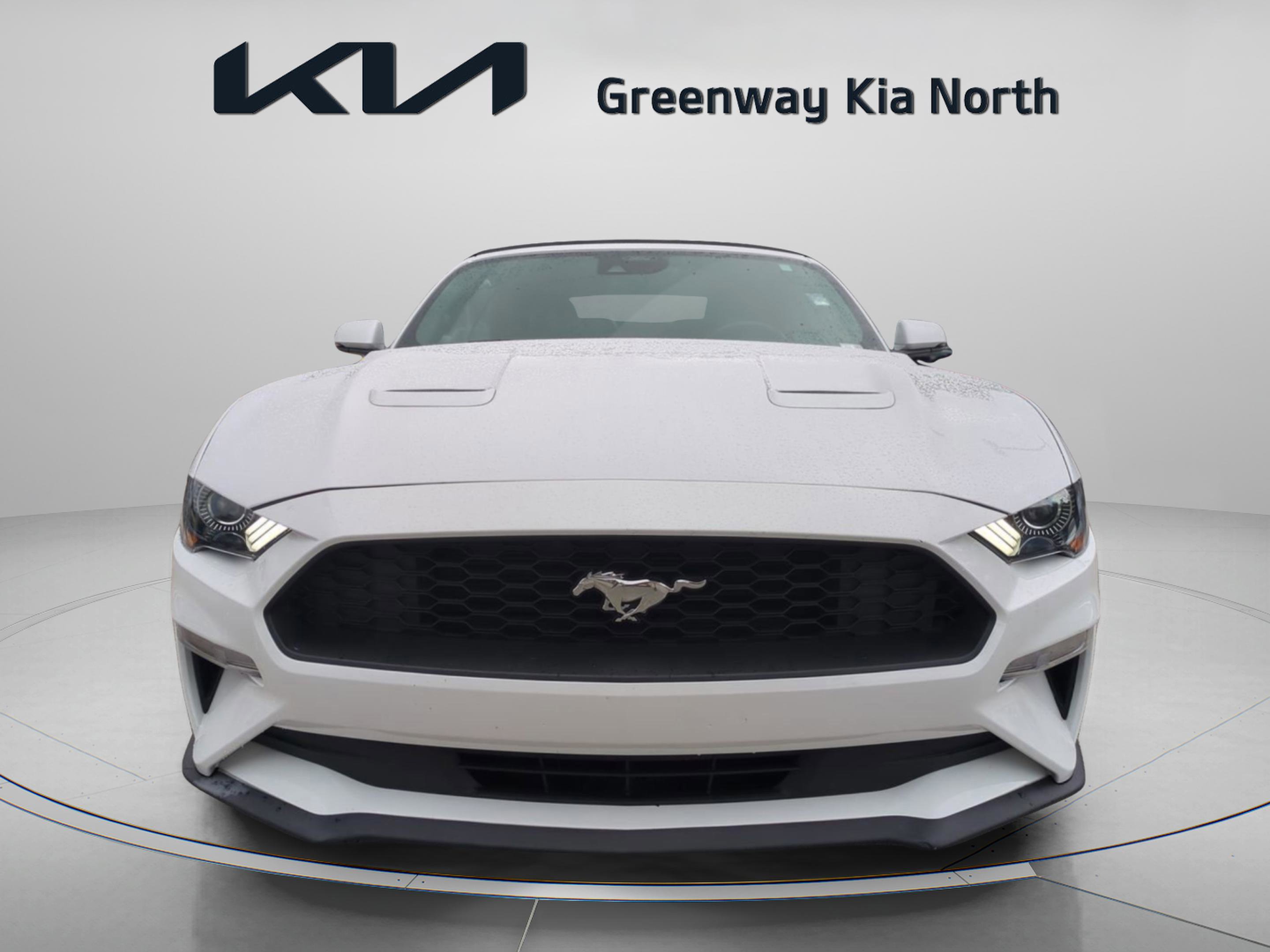 2022 Ford Mustang EcoBoost Premium photo 2
