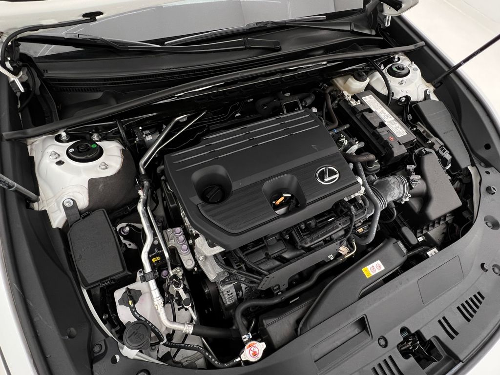 2022 Lexus ES 250 photo 29