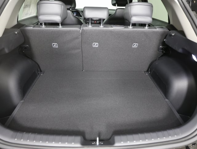 2025 Kia Niro SX photo 9