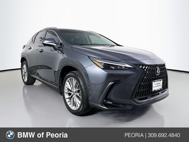 2025 Lexus NX Hybrid 350h's photo