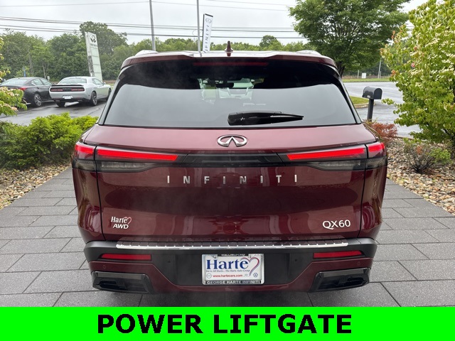 2023 Infiniti QX60 Luxe photo 6