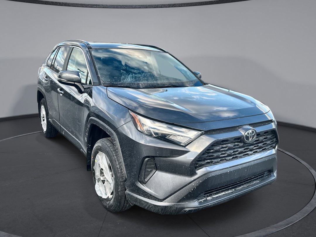 2025 Toyota RAV4 XLE's photo