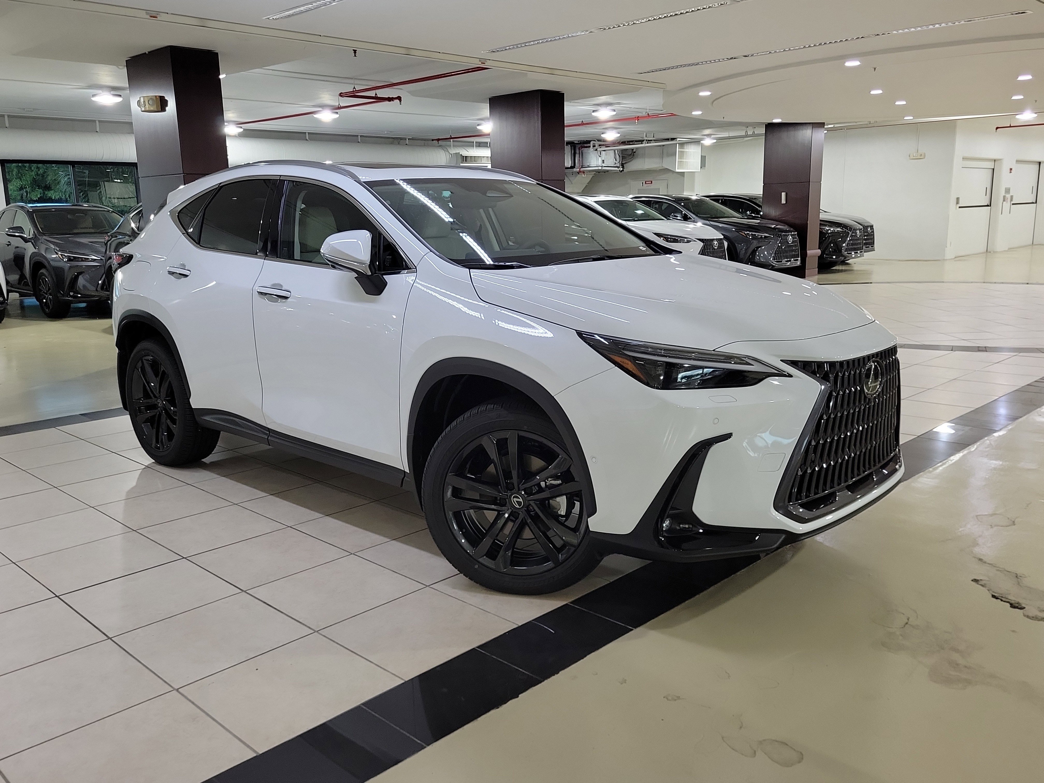 2026 Lexus NX PHEV 450h+'s photo