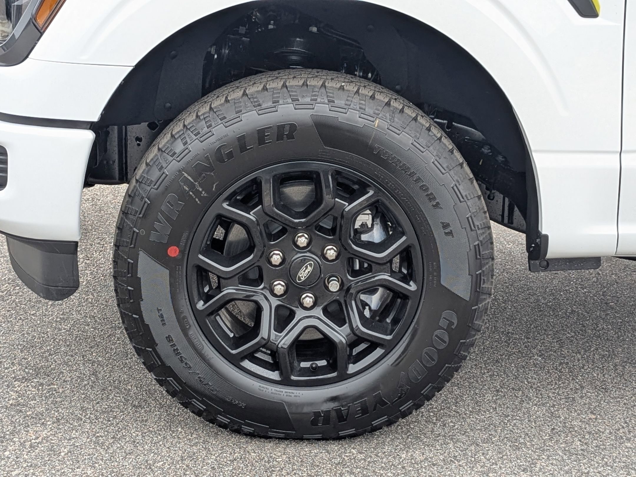 2025 Ford F-150 STX photo 3
