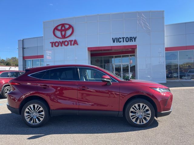 2024 Toyota Venza XLE photo 3