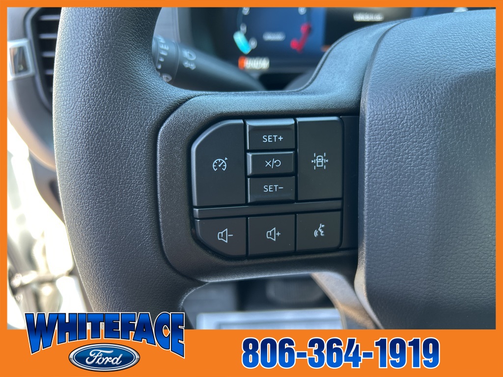 2025 Ford F-150 XL photo 18