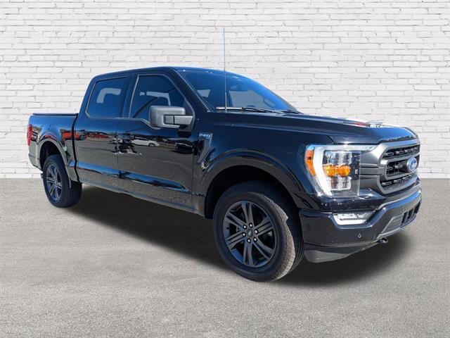 2023 Ford F-150 XLT's photo