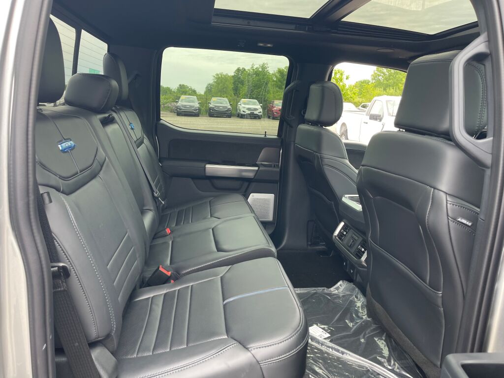2025 Ford F-150 Platinum photo 14