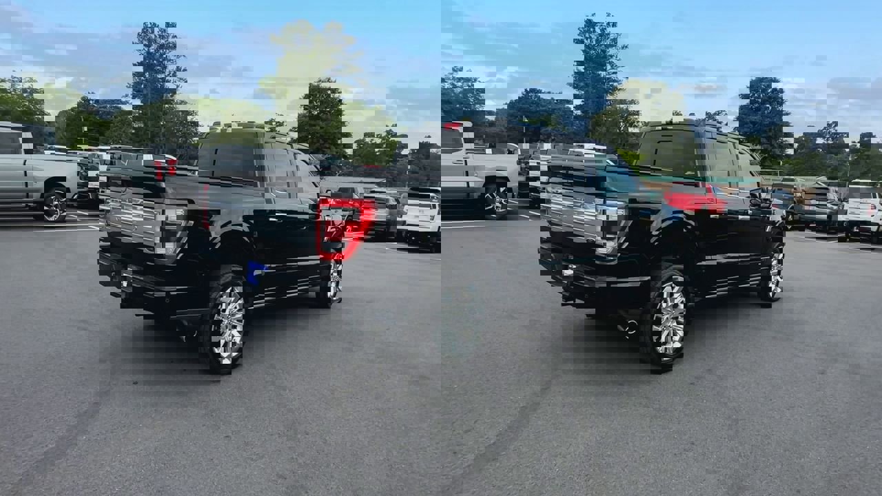 1FTFW1ED6PFA43954